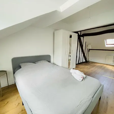 Apartment Duplex Beauvoisine - 387 Rouen